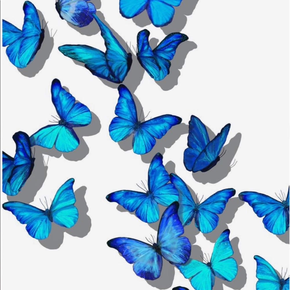 Meet your Posher, Yahimi